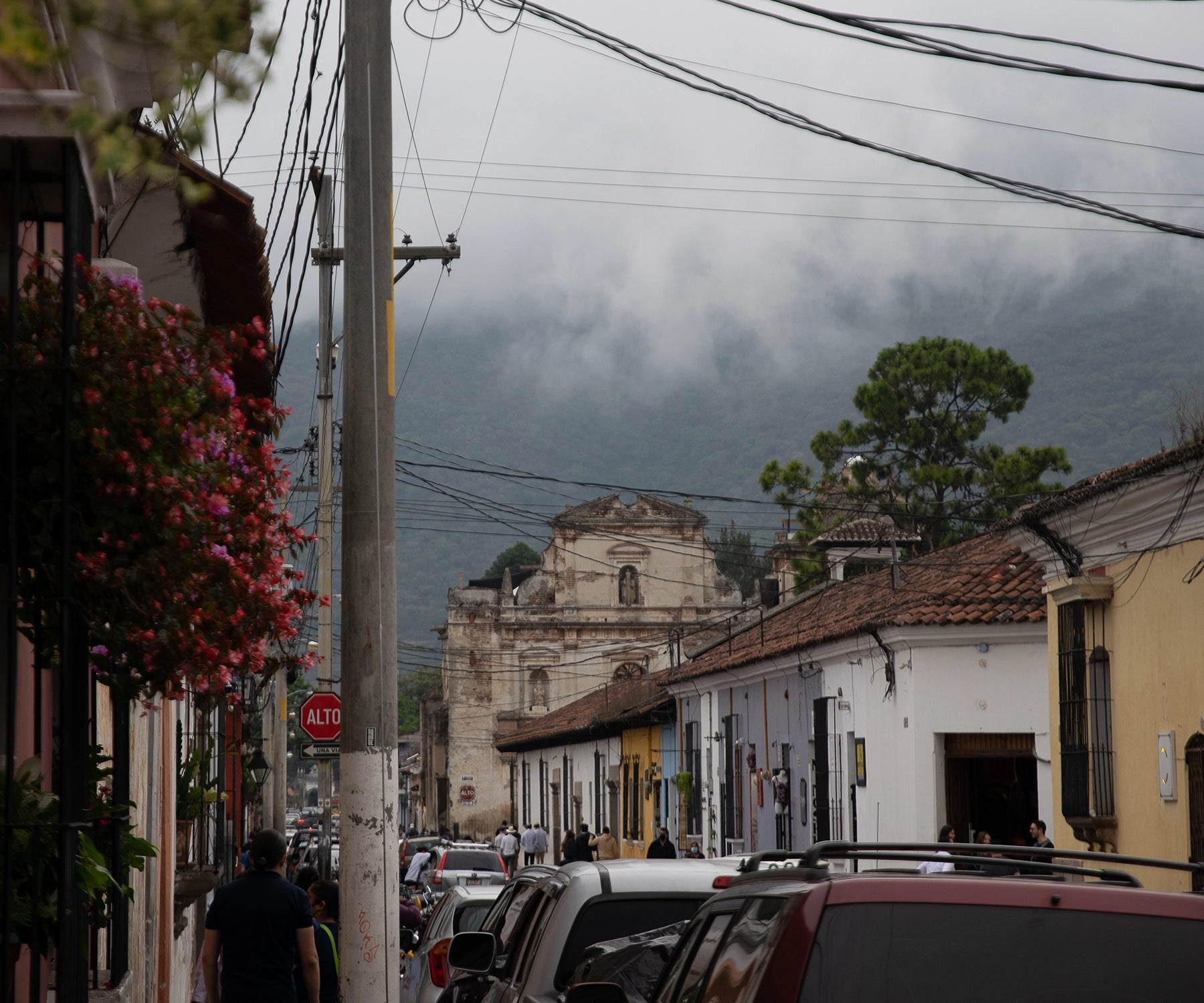 Selected coffee farms by La Bohème: farma La Bolsa v Guatemale