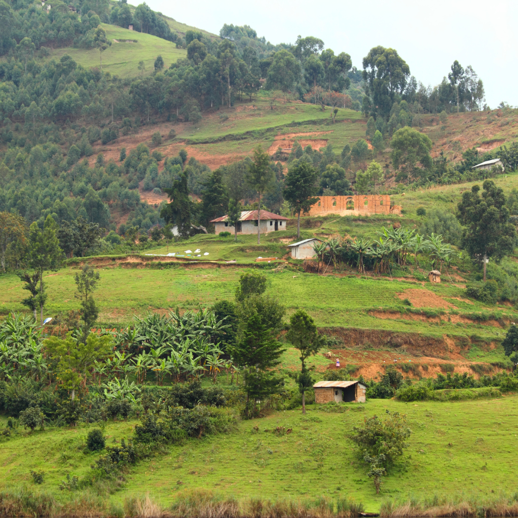 Uganda Kyarumba Natural