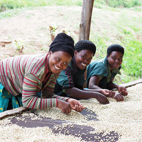 BIO Rwanda Kamonyi