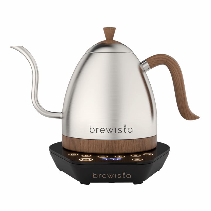 Brewista Artisan Gooseneck Silver Teapot 1 l